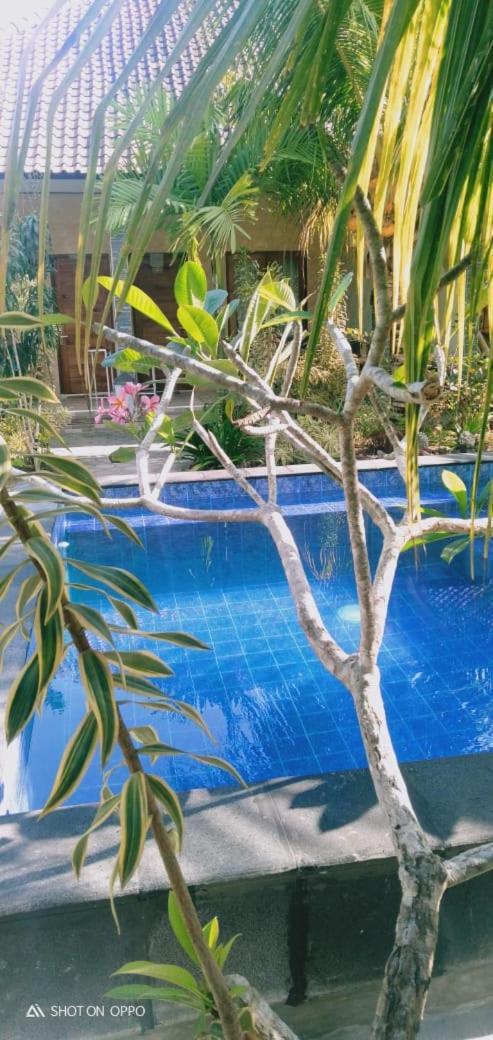 Belong Home Stay Lembongan Eksteriør bilde