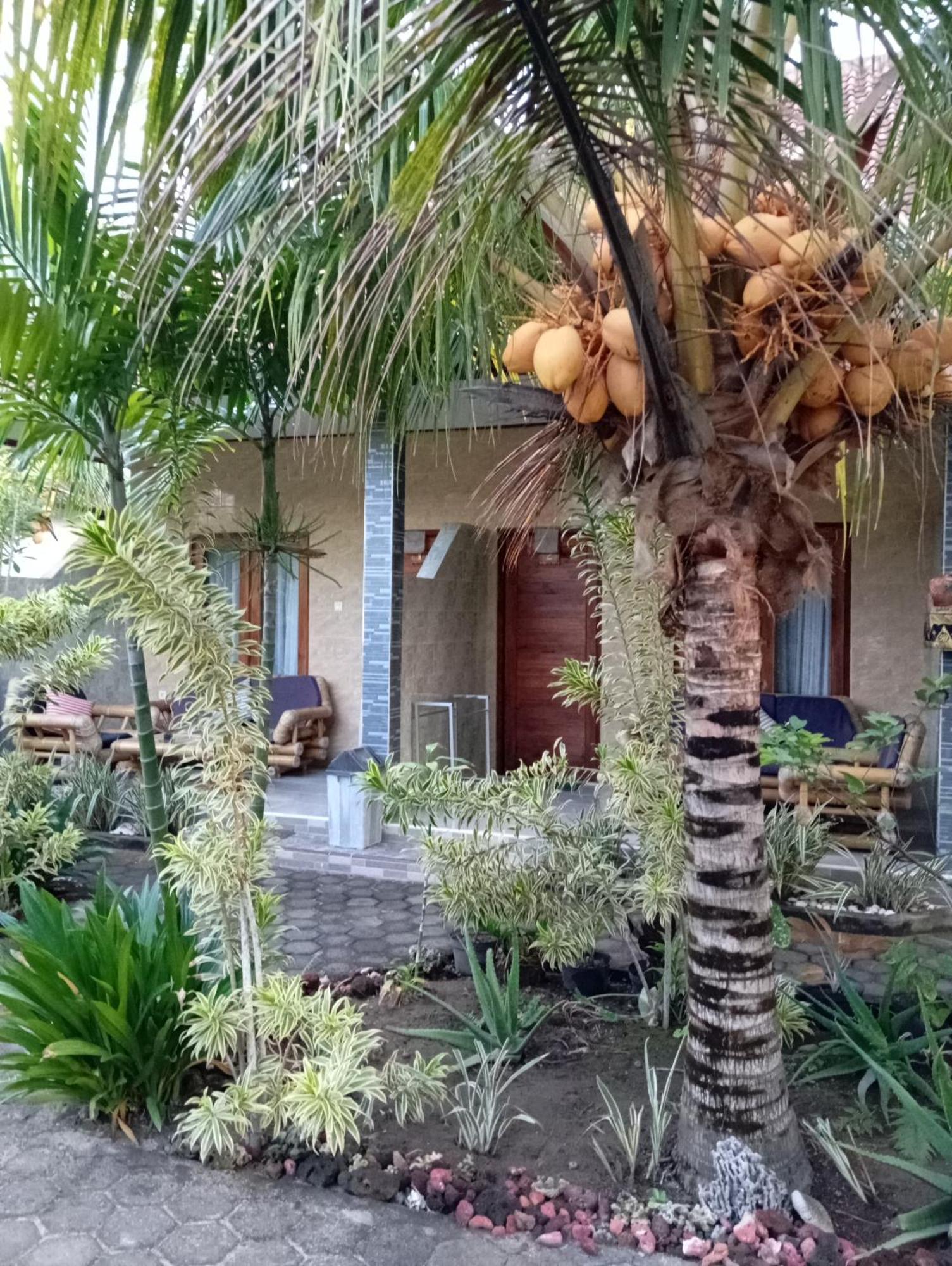 Belong Home Stay Lembongan Rom bilde